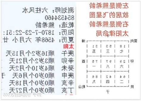 風水 熊